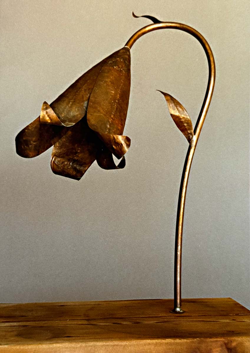 Custom copper artistic lamp