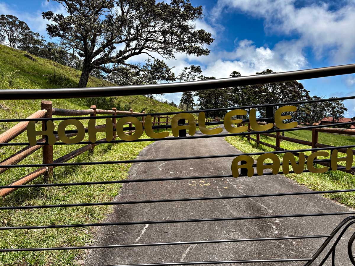 Custom residential metal work in South Kona